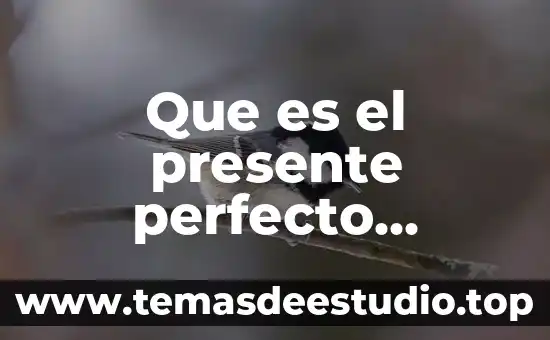 Que es el pasado y el presente para la historia 5 Que es el presente perfecto continuo en ingles voz pasiva