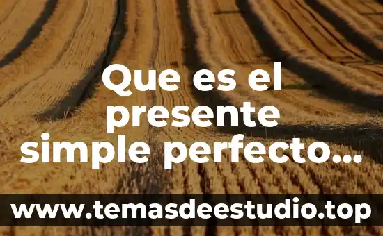 Que es el pasado y el presente para la historia 3 Que es el presente simple perfecto en ingles