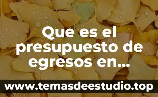 Que es el presupuesto de egresos en mexico