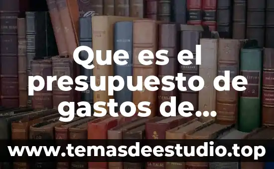 Que es un presupuesto de movimiento 3 Que es el presupuesto de gastos de administracion