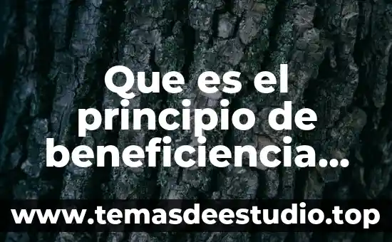 Que es el principio unificador de la unidad 7 Que es el principio de beneficiencia en enfermeria