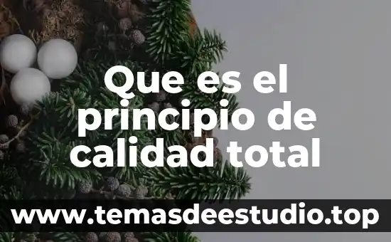 Qué es calidad de una mezcla saturada en termodinámica 4 Que es el principio de calidad total