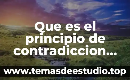 Que es el principio de contradiccion en derecho 5 Que es el principio de contradiccion de la prueba