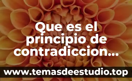 Que es el principio de no contradiccion en filosofia 6 Que es el principio de contradiccion en derecho