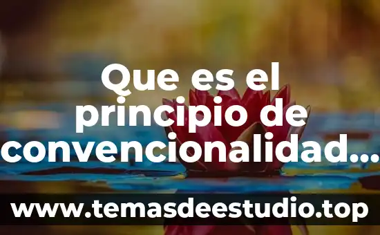 Que es el principio de convencionalidad en derecho internacional privado