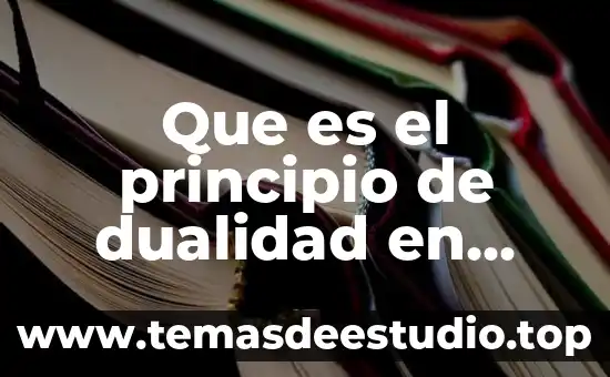 Que es principio de dualidad económica 3 Que es el principio de dualidad en programacion lineal