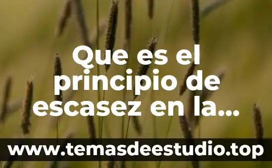 Qué es público en economía 5 Que es el principio de escasez en la economia