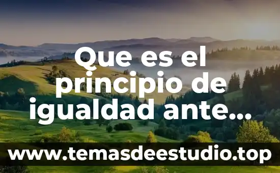 Que es el principio de igualdad ante la ley mexico