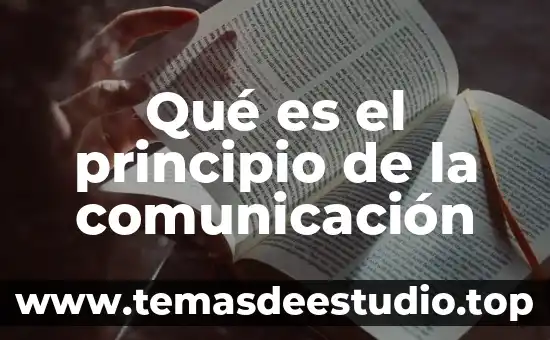 Que es el amor como principio de vida 3 Qué es el principio de la comunicación