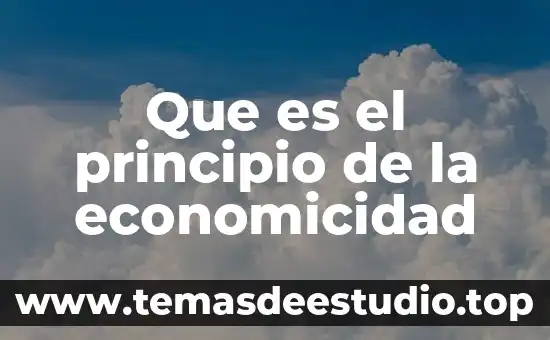 Que es el principio unificador de la unidad 3 Que es el principio de la economicidad