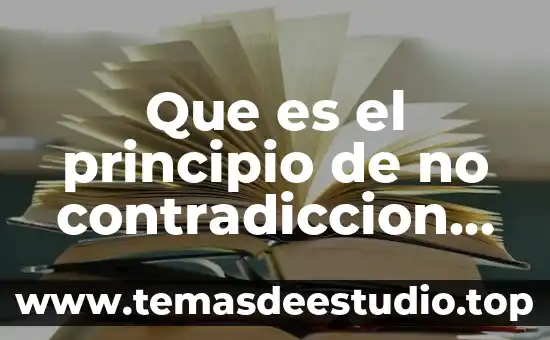 Que es el principio de contradiccion en derecho 4 Que es el principio de no contradiccion en filosofia