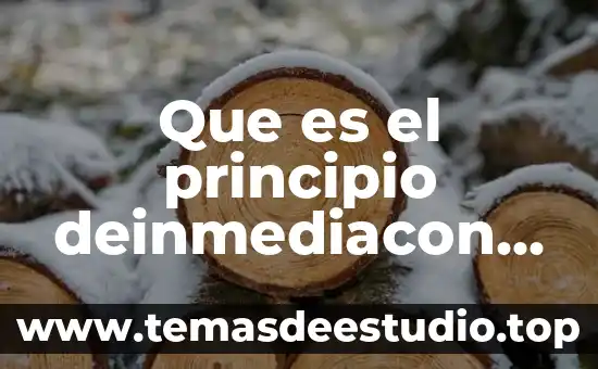 Que es el principio unificador de la unidad 5 Que es el principio deinmediacon en derecho