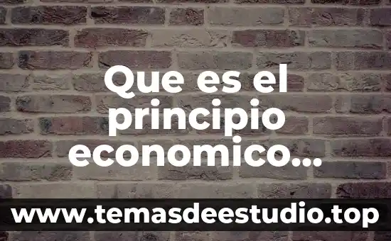 Que es para kant el conocimiento 8 Que es el principio economico yahoo