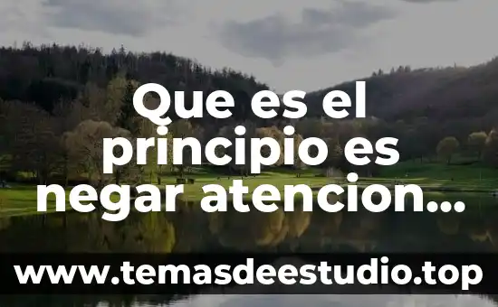 Que es el principio unificador de la unidad 4 Que es el principio es negar atencion médica