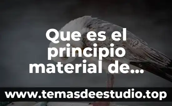 Qué es la vida media de un producto 6 Que es el principio material de vida etica
