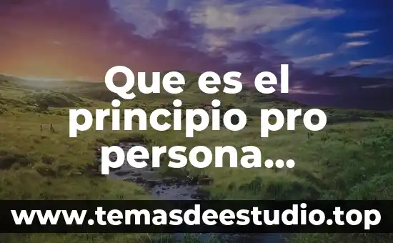 Que es una fuente fuente general o suprema 8 Que es el principio pro persona suprema corte de justicia