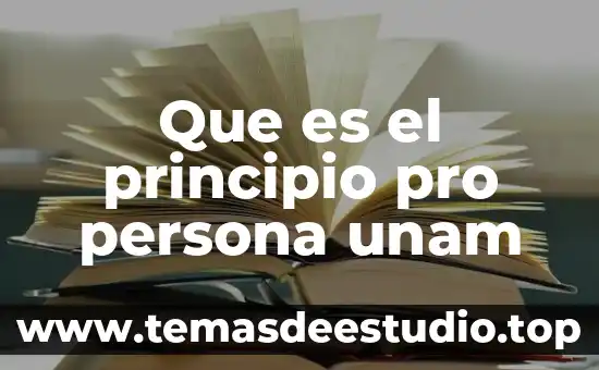 Que es imperialismo unam 6 Que es el principio pro persona unam