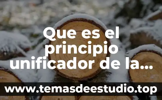 Que es el principio deinmediacon en derecho 8 Que es el principio unificador de la unidad