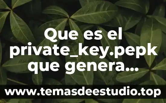Que es el tsunami y como se genera 3 Que es el private_key.pepk que genera android studio