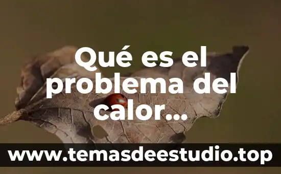 Que es el movimiento segun las tres leyes de newton 7 Qué es el problema del calor enfriamiento de newton