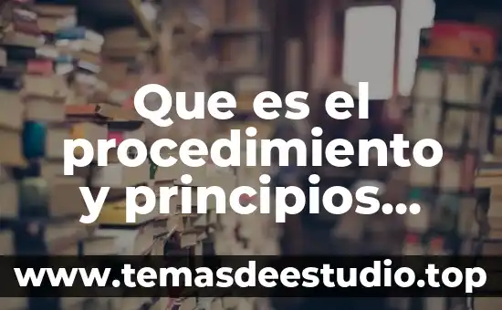 Que es el procedimiento y principios derecho cpeum