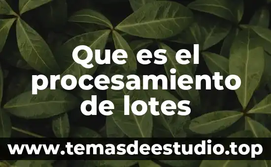 Que es venta de lotes 3 Que es el procesamiento de lotes