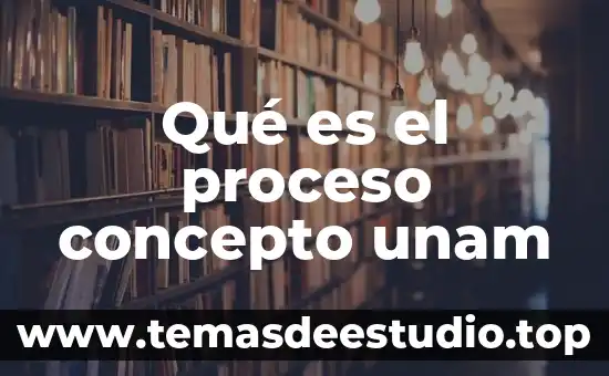 Que es el principio pro persona unam 3 Qué es el proceso concepto unam