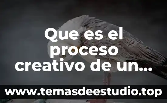 Qué es el proceso creativo definición 7 Que es el proceso creativo de un artista