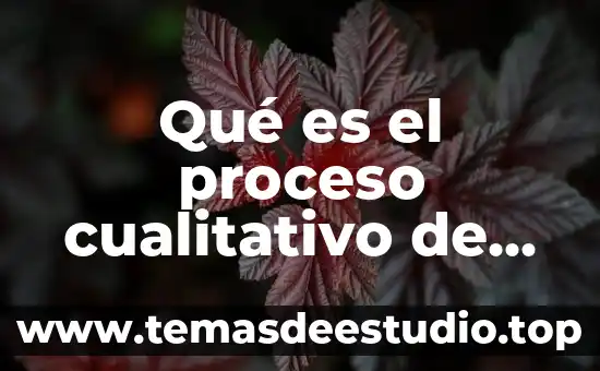 Que es cualitativo ejemplos 7 Qué es el proceso cualitativo de la investigación