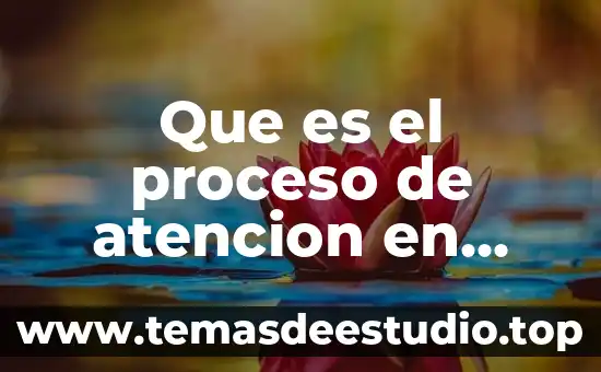 Qué es la demanda de atención en la historia social 3 Que es el proceso de atencion en enfermeria