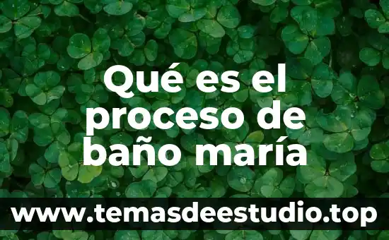 Qué es un proceso de preparación definición 4 Qué es el proceso de baño maría
