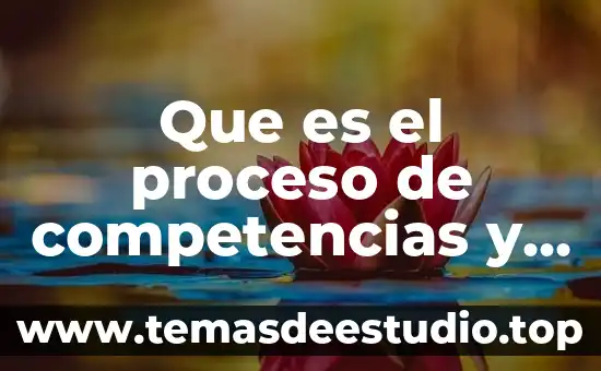 Que es sistema educativo por competencias 6 Que es el proceso de competencias y desarrollo