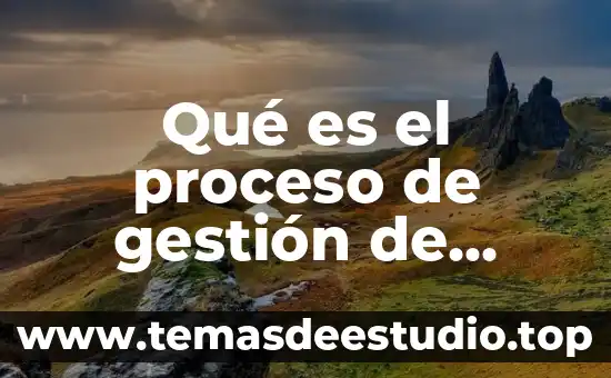 Qué es el proceso de digitalización de una señal 4 Qué es el proceso de gestión de calidad