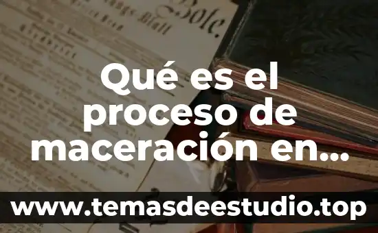 Explicación científica de que es la cerveza 8 Qué es el proceso de maceración en la cerveza