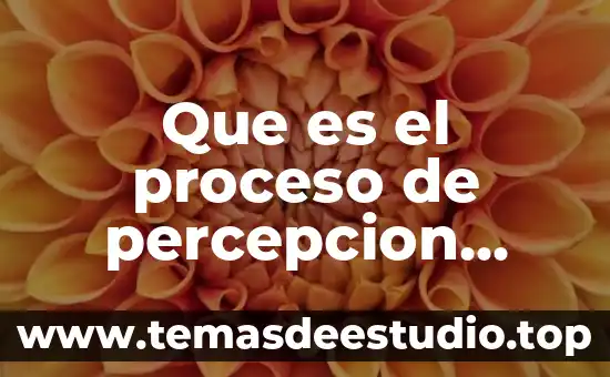 Que es el proceso de percepcion indirecta