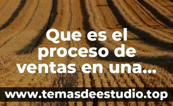 Que es un fiduciario financiero en ventas de casas 6 Que es el proceso de ventas en una organizacion