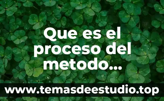Que es un metodo de cuantificacion directo e inderecto 5 Que es el proceso del metodo cientifico experimental