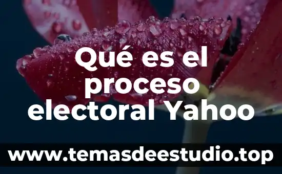 Que es el pensamiento humanista yahoo 7 Qué es el proceso electoral Yahoo