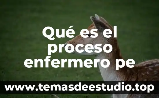 Que es un ente en el derecho 4 Qué es el proceso enfermero pe