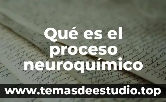 Que es el proceso isobarico 4 Qué es el proceso neuroquímico