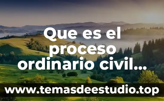 Que es el proceso ordinario civil en honduras