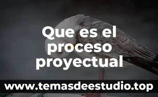 Que es el proceso proyectual