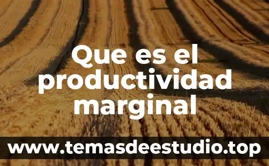Para que es importante la productividad 7 Que es el productividad marginal