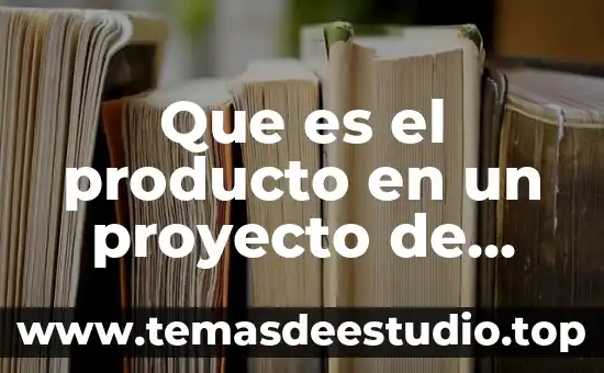 Que es el producto en un proyecto de inversion