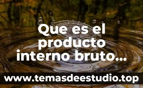 Que es ser bruto 3 Que es el producto interno bruto datos de valor 1900-2000
