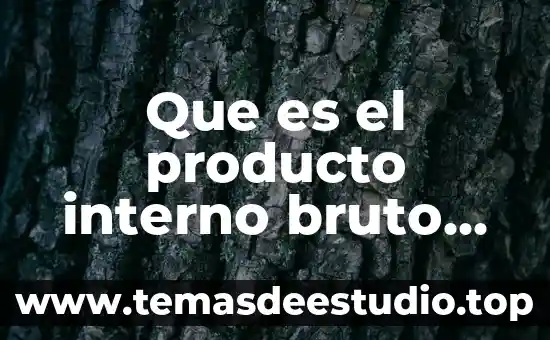 Que es el producto interno bruto estatal