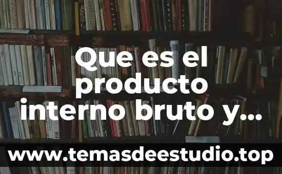 Que es ser bruto 5 Que es el producto interno bruto y per capita