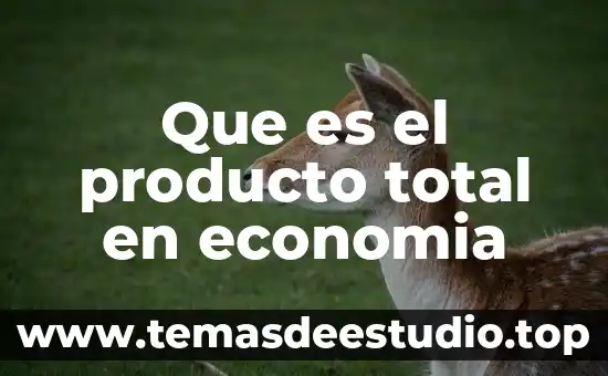 Qué es público en economía 4 Que es el producto total en economia