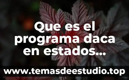 Que es la aeronautica de estados unidos 3 Que es el programa daca en estados unidos