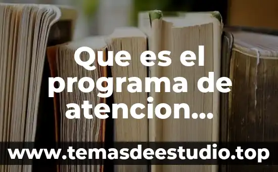 Que es un punto de atencion 5 Que es el programa de atencion domiciliaria
